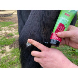 Regenererende Animaderm Cutene