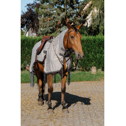 Werkshirt Riding World anti-vliegen Grijs