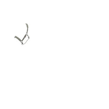 Licol LeMieux Essence Rozemarijn Groen