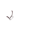 Licol LeMieux Essence Damson Violet