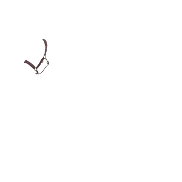 Licol LeMieux Essence Damson Violet