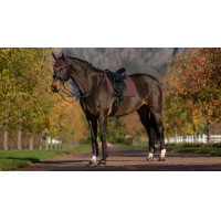 Tapis de dressage LeMieux Essence Square Damson Violet Tapis de dressage LeMieux Essence Square Damson Violet