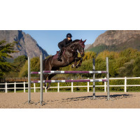 Tapis Eurojump LeMieux Essence Square Damson Violet