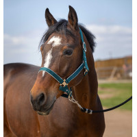 Halster Equithème Nylon light Donkergroen Halster Equithème Nylon light Donkergroen