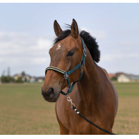 Halster Equithème Nylon Chevron Donkergroen