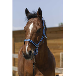 Halster Norton Satijn Hemelsblauw / zwart Halster Norton Satijn Hemelsblauw / zwart