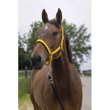 Halster Norton Satijn Honing Geel