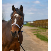 Halster Equithème Nylon Check Marine / bruin Blauw