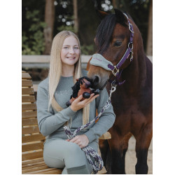 Tiny Pony LeMieux Harlow Rolo