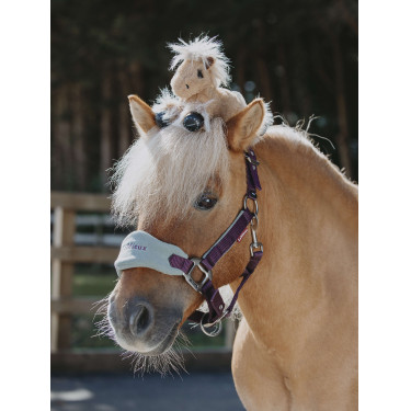 Tiny Pony LeMieux Harlow Bewolkt