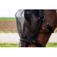 Halster + UV-beschermend masker Equithème Zwart Halster + UV-beschermend masker Equithème Zwart