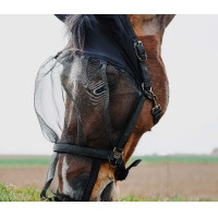 Halster + UV-beschermend masker Equithème Zwart Halster + UV-beschermend masker Equithème Zwart