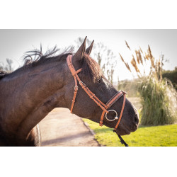 Bridon Pénélope Elegantie Cognac Bruin