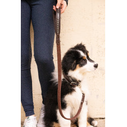 Laat hond Penelope Rubber Havana Bruin Laat hond Penelope Rubber Havana Bruin