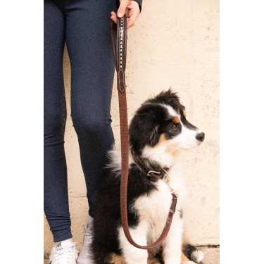 Laat hond Penelope Rubber Havana Bruin Laat hond Penelope Rubber Havana Bruin