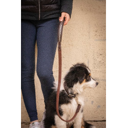 Laat hond Penelope Rubber Havana Bruin Laat hond Penelope Rubber Havana Bruin