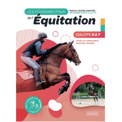 De basisprincipes Galops 5 tot 7 De basisprincipes Galops 5 tot 7