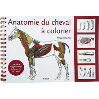 Anatomie du cheval Ă colorier Anatomie du cheval Ă colorier