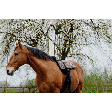 Zadeldek Norton Kiowa