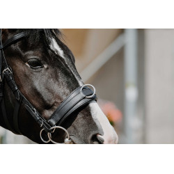 Brede cavesson Norton Zwart Brede cavesson Norton Zwart