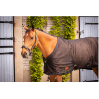 Mesh Overhemd Paddock Sports Zwart Mesh Overhemd Paddock Sports Zwart