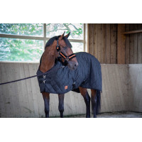Gewatteerde Paddock Sports Deken Zwart Gewatteerde Paddock Sports Deken Zwart