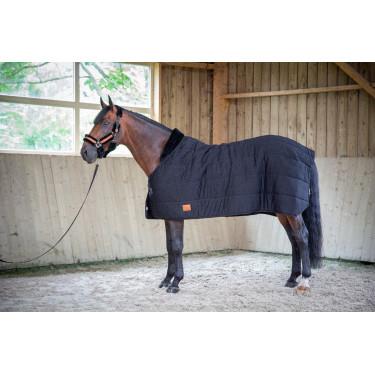 Onderdeken Paddock Sports Underblancket Onderdeken Paddock Sports Underblancket