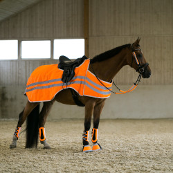 Fluo beenbeschermers Horze Fluo beenbeschermers Horze