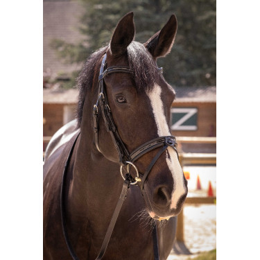 Bridon Pénélope Smoothie Zwart