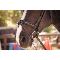 Bridon Pénélope Smoothie Havana Bruin