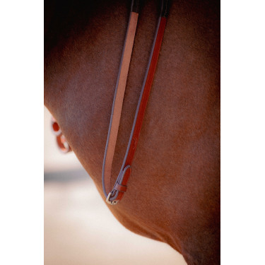 Rubberen teugels Pénélope US Hazelnoot Bruin Rubberen teugels Pénélope US Hazelnoot Bruin