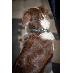 Halsband voor hond Pénélope Pearl Halsband voor hond Pénélope Pearl