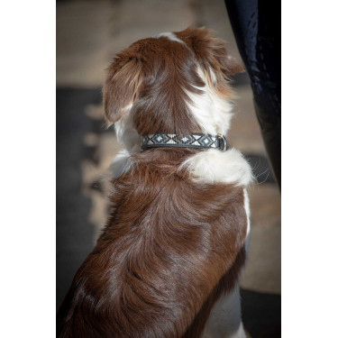 Halsband voor hond Pénélope Pearl Halsband voor hond Pénélope Pearl