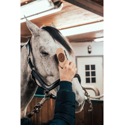 Hoofdborstel Borstiq