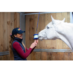 Steun voor Likit zoutsteen 650 g Blauw