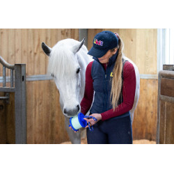 Steun voor Likit zoutsteen 650 g Blauw