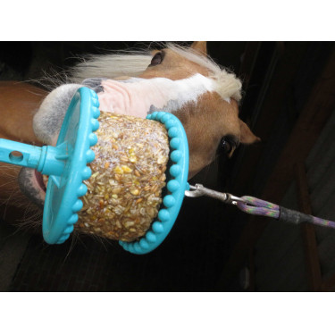 Liksteen Likit Liksteen Likit