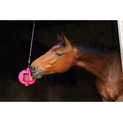 Speelgoed Bizzy Ball Likit Fuchsia Roze