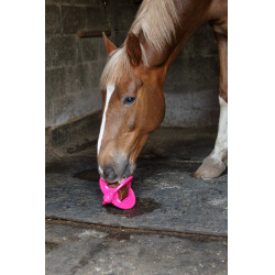 Speelgoed Bizzy Ball Likit Fuchsia Roze