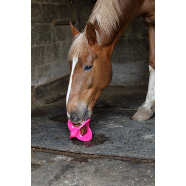 Speelgoed Bizzy Ball Likit Fuchsia Roze