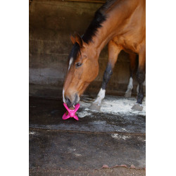 Speelgoed Bizzy Ball Likit Fuchsia Roze