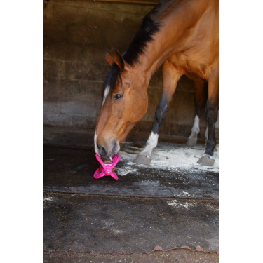 Speelgoed Bizzy Ball Likit Fuchsia Roze