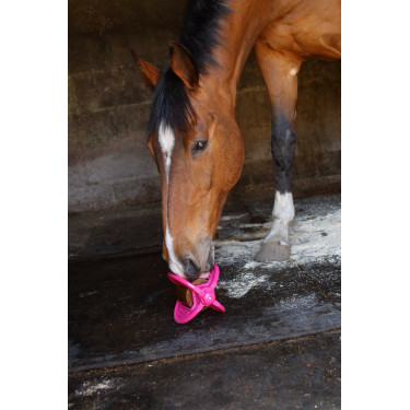 Speelgoed Bizzy Ball Likit Fuchsia Roze