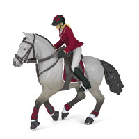 Wedstrijdpaard en zijn...