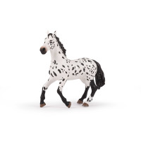 Groot appaloosa paard Papo