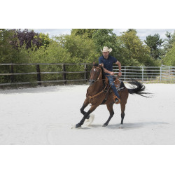 Selle Westride door Franck Perret Aurora Hazelnoot Bruin Selle Westride door Franck Perret Aurora Hazelnoot Bruin