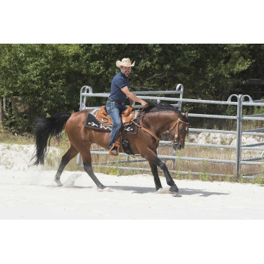 Selle Westride door Franck Perret Aurora Hazelnoot Bruin Selle Westride door Franck Perret Aurora Hazelnoot Bruin