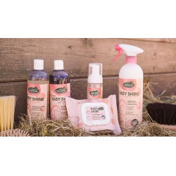 Easy Shine Wipe Ravene Reinigingsdoekjes Easy Shine Wipe Ravene Reinigingsdoekjes