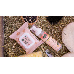 Easy Shine Wipe Ravene Reinigingsdoekjes Easy Shine Wipe Ravene Reinigingsdoekjes