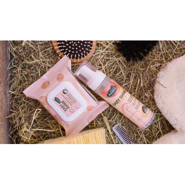 Easy Shine Wipe Ravene Reinigingsdoekjes Easy Shine Wipe Ravene Reinigingsdoekjes